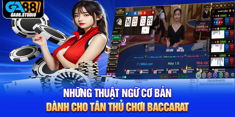 Những thuật ngữ cơ bản dành cho tân thủ chơi Baccarat